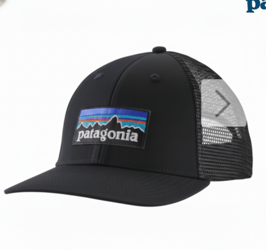 Patagonia P-6 LoPro Trucker Hat